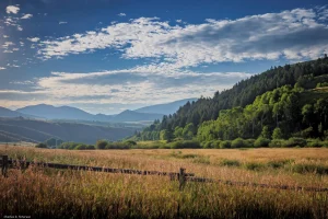 Bohus-Landscape_Sagebrush_SEO