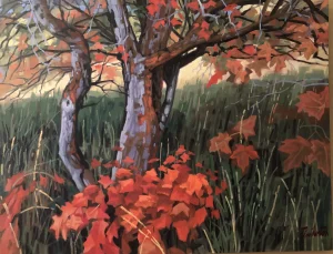 Mountain-Maple-scaled_Sagebrush_SEO