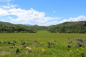 Tune in to hear about our work on Boise State Public Radio