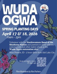 Upcoming volunteer opportunities at Wuda Ogwa